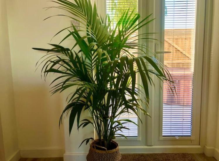 Apartment Elkstone Private Hottub Pet Friendly *